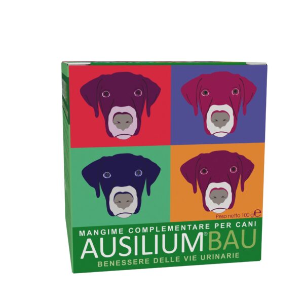 AUSILIUM BAU 100 g