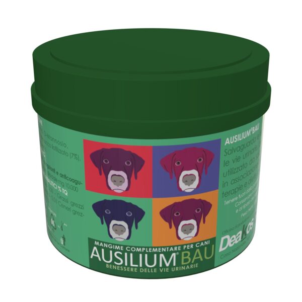 AUSILIUM BAU 100 g – Image 4