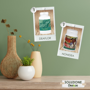 EQUILIBRIO IMMUNITARIO: rinforzare le difese immunitarie