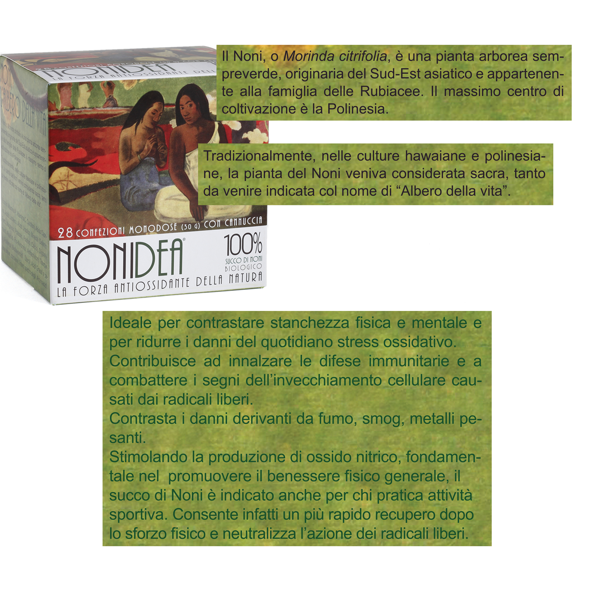 NONIDEA SUCCO Integratore alimentare con Morinda citrifolia - 28 drink monodose